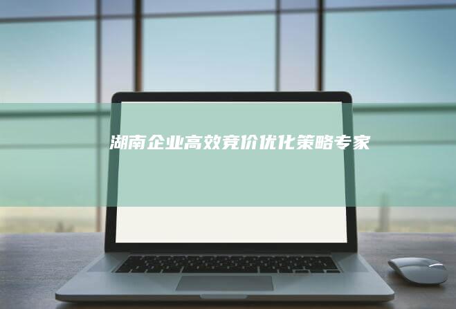 湖南企业高效竞价优化策略专家